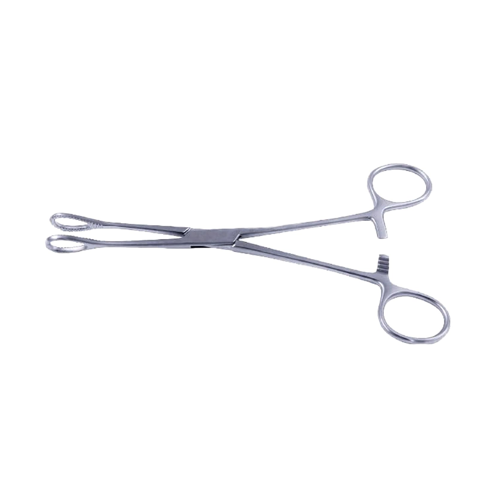 Foerster Sponge Holding Forceps