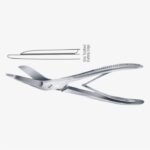 Plaster of Paris Shear