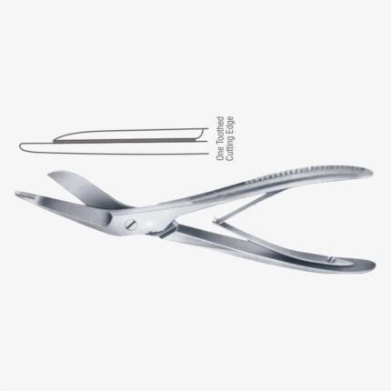 Plaster of Paris Shear