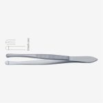 Beer Cilia Forceps