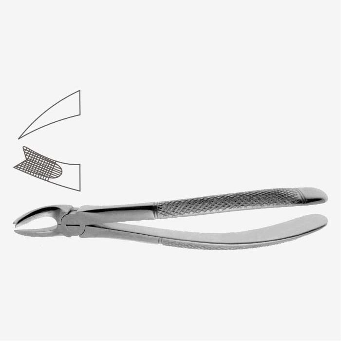 Cowhorn English Pattern Tooth Extraction Forceps Fig. 89 - Xelpov Surgical