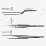 Taylor Dissecting Forceps